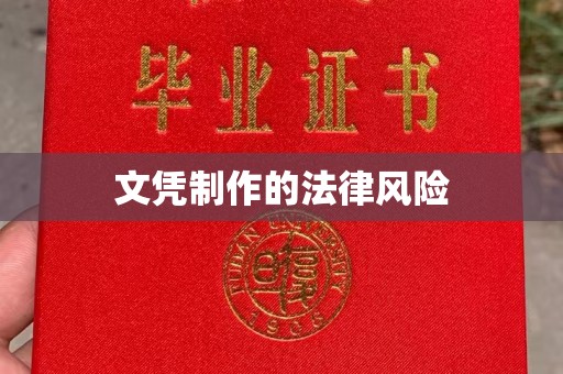沿河文凭制作的法律风险