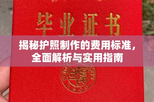 沿河揭秘护照制作的费用标准，全面解析与实用指南