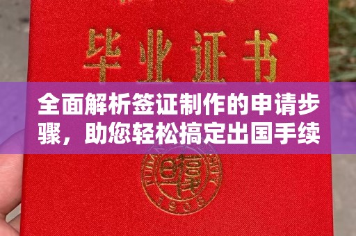 沿河全面解析签证制作的申请步骤，助您轻松搞定出国手续