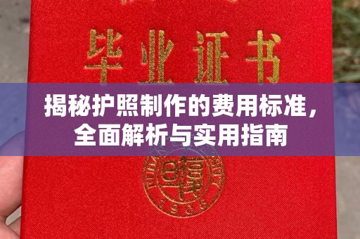 沿河揭秘护照制作的费用标准，全面解析与实用指南